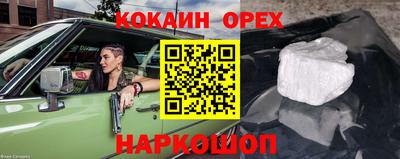 крисы Обь