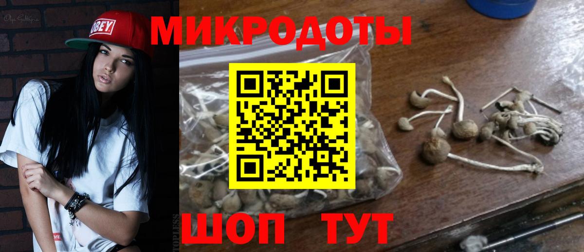 Ростов-на-Дону  Галлюциногенные грибы MAGIC MUSHROOMS  Вход с VPN 